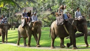 elephant-park1-1600X900